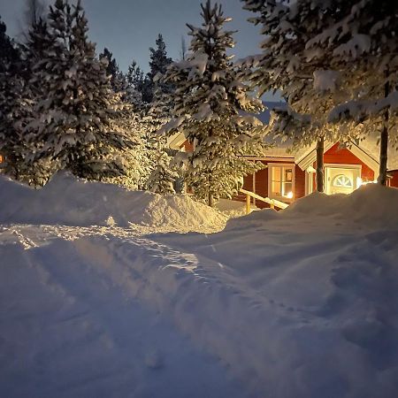 Mountain Cabin Лофсдален Екстериор снимка
