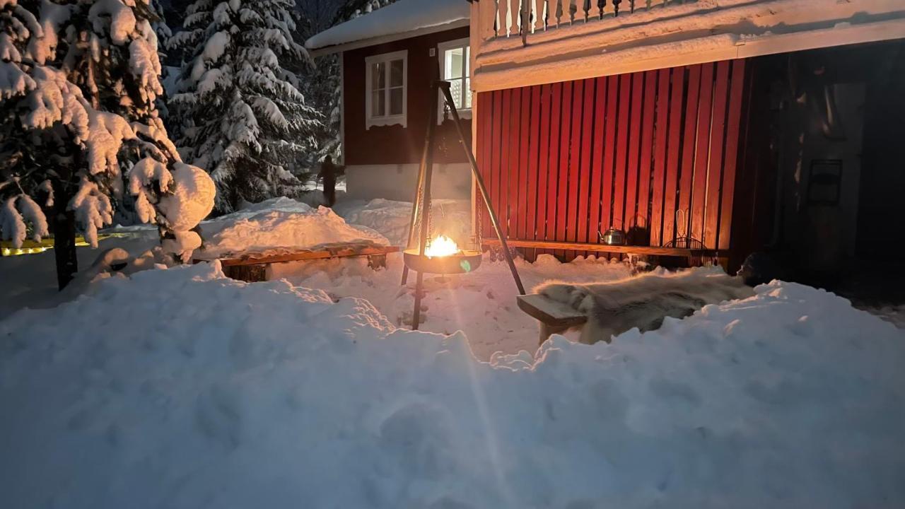 Mountain Cabin Лофсдален Екстериор снимка
