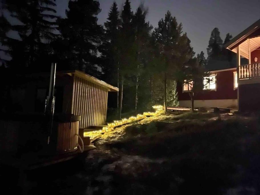 Mountain Cabin Лофсдален Екстериор снимка