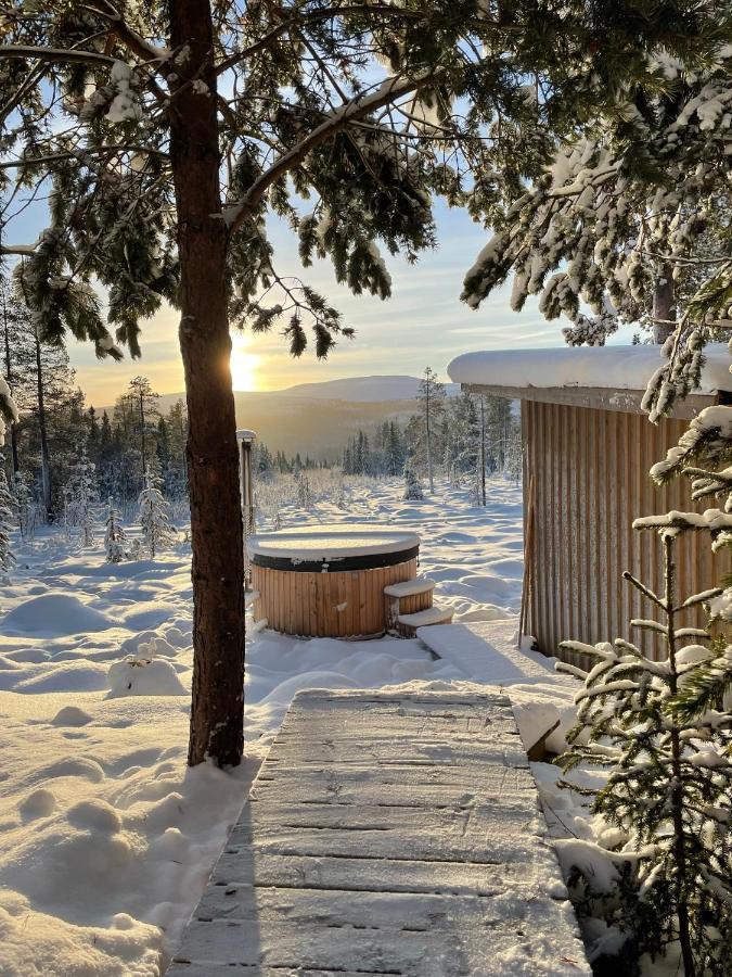 Mountain Cabin Лофсдален Екстериор снимка