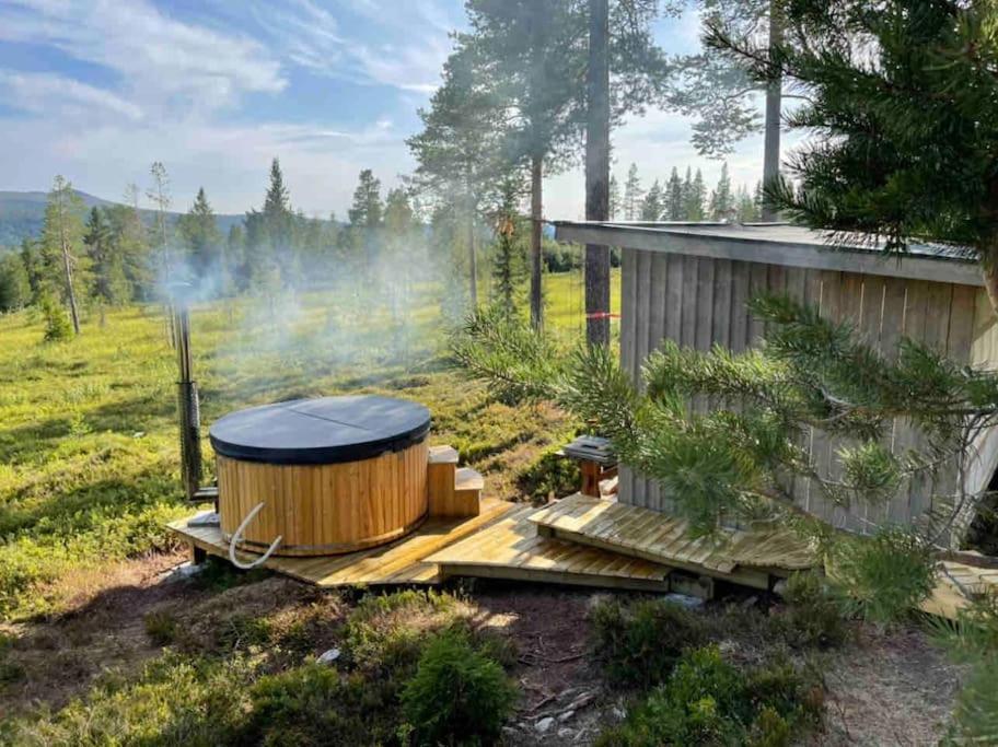 Mountain Cabin Лофсдален Екстериор снимка