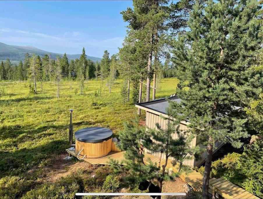Mountain Cabin Лофсдален Екстериор снимка