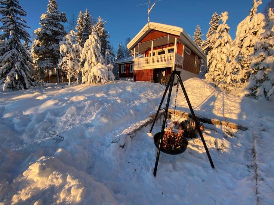 Mountain Cabin Лофсдален Екстериор снимка