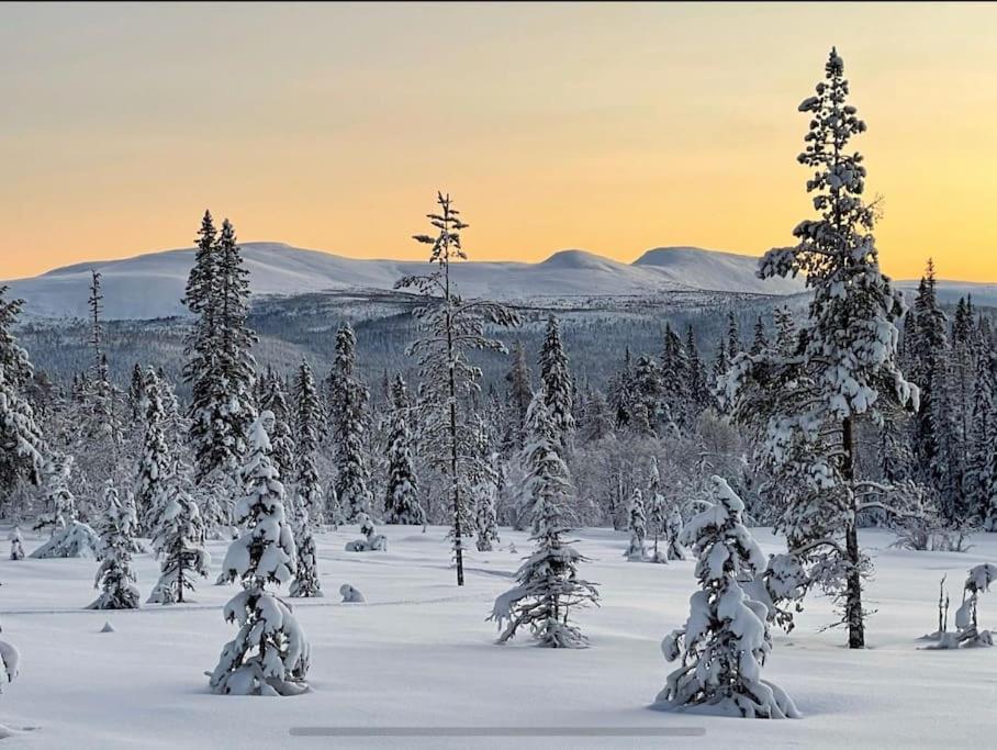 Mountain Cabin Лофсдален Екстериор снимка
