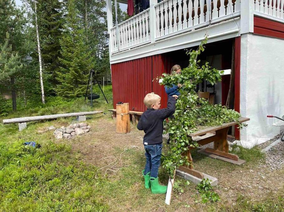 Mountain Cabin Лофсдален Екстериор снимка