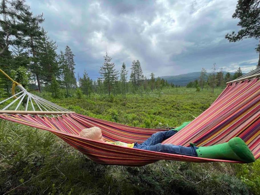 Mountain Cabin Лофсдален Екстериор снимка
