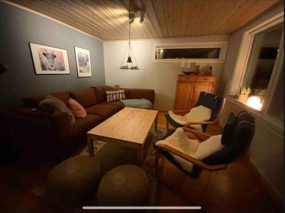 Mountain Cabin Лофсдален Екстериор снимка