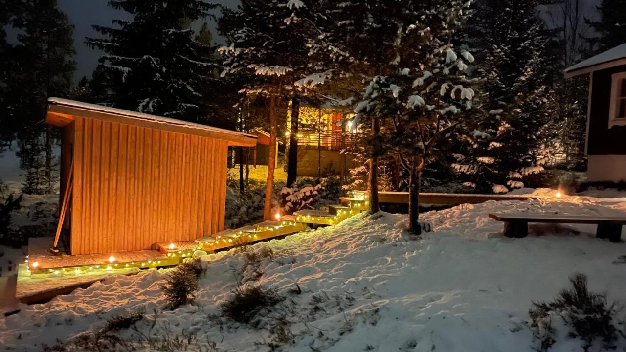 Mountain Cabin Лофсдален Екстериор снимка