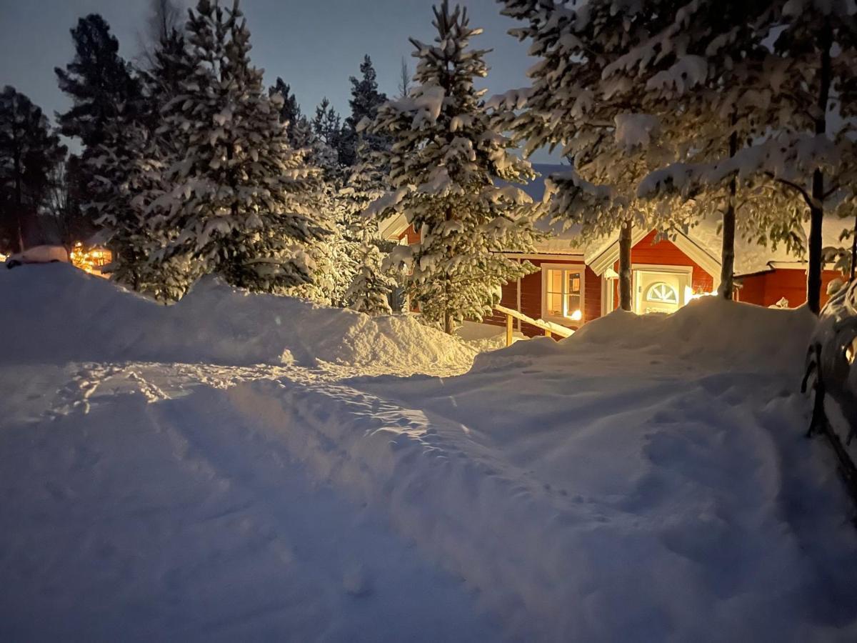Mountain Cabin Лофсдален Екстериор снимка