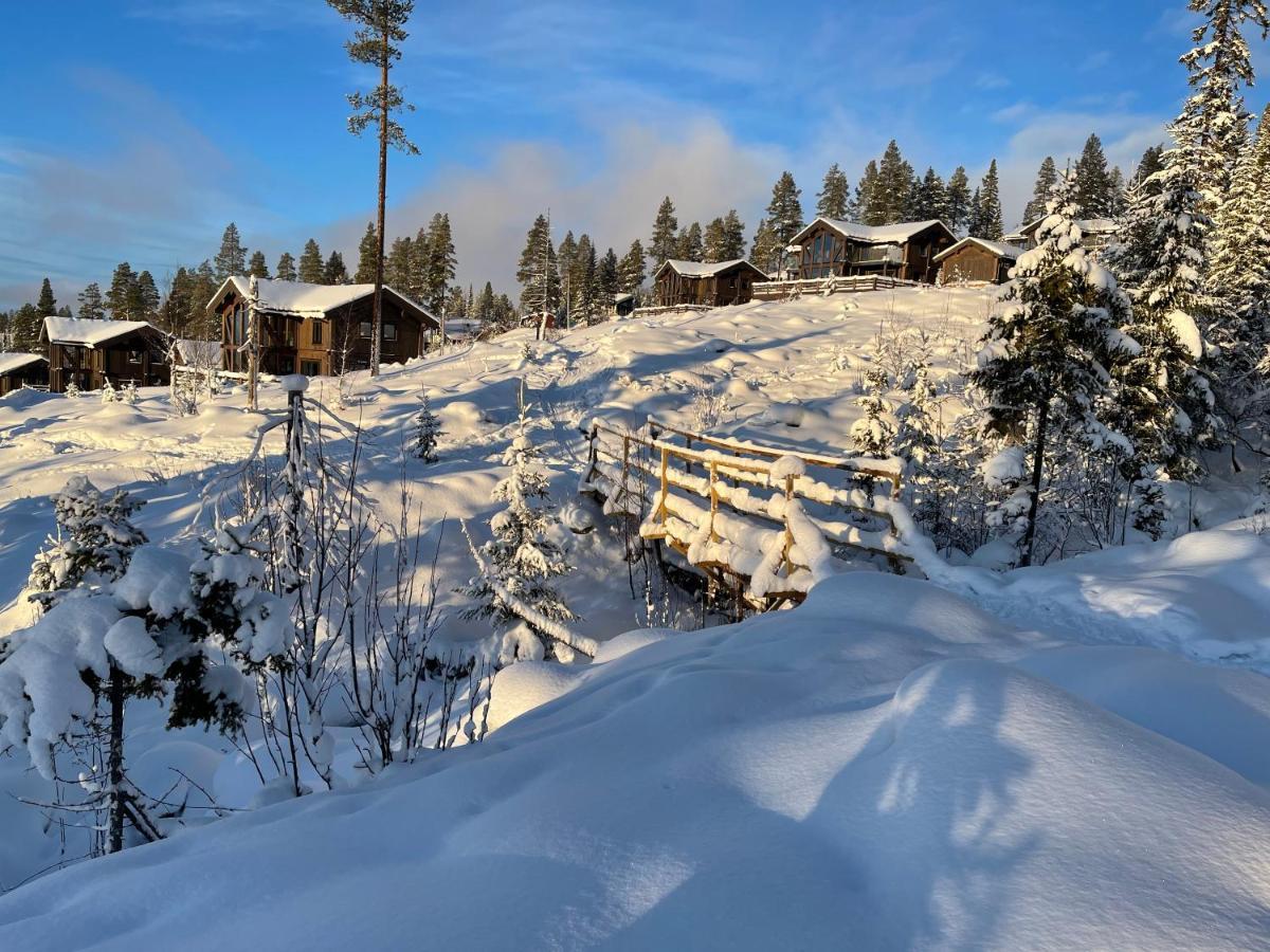 Mountain Cabin Лофсдален Екстериор снимка