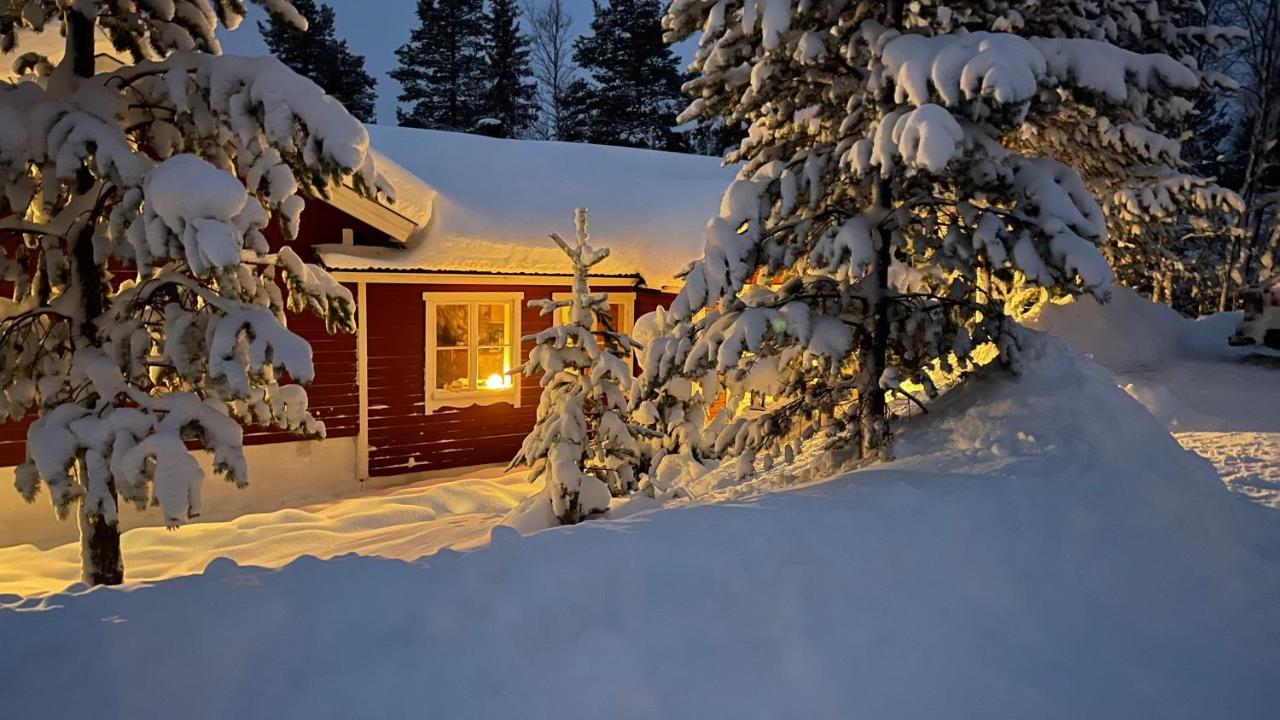 Mountain Cabin Лофсдален Екстериор снимка