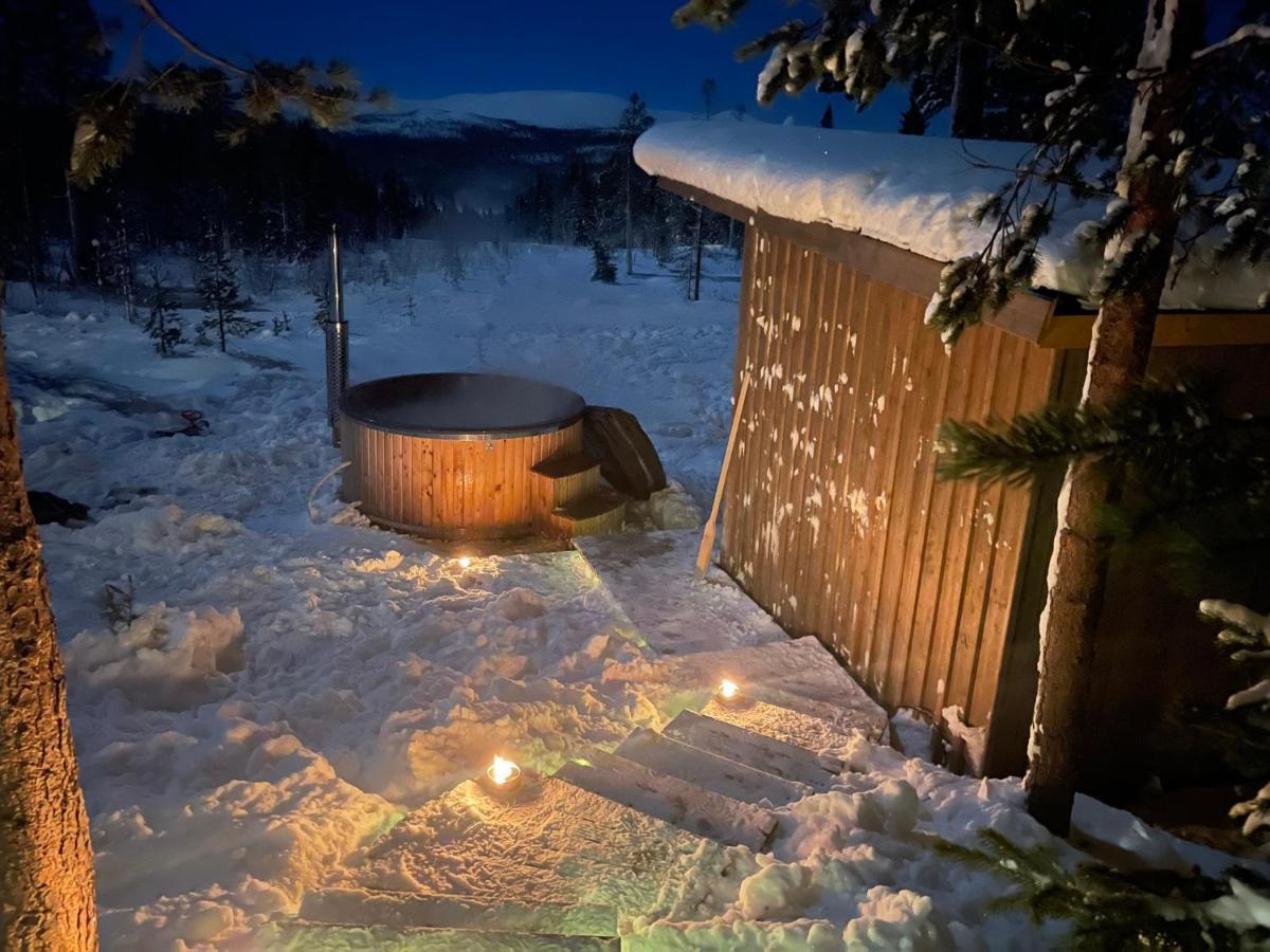 Mountain Cabin Лофсдален Екстериор снимка