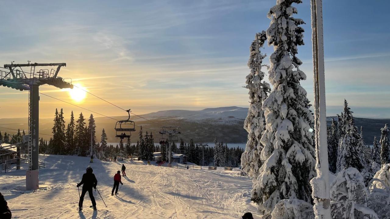 Mountain Cabin Лофсдален Екстериор снимка
