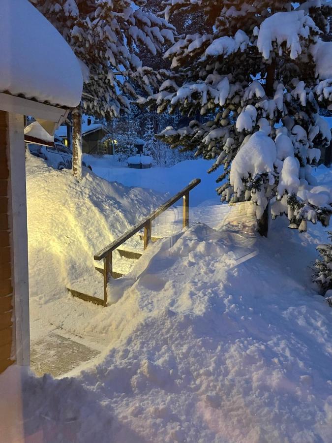 Mountain Cabin Лофсдален Екстериор снимка