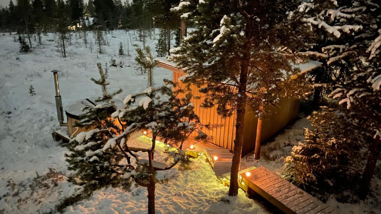 Mountain Cabin Лофсдален Екстериор снимка