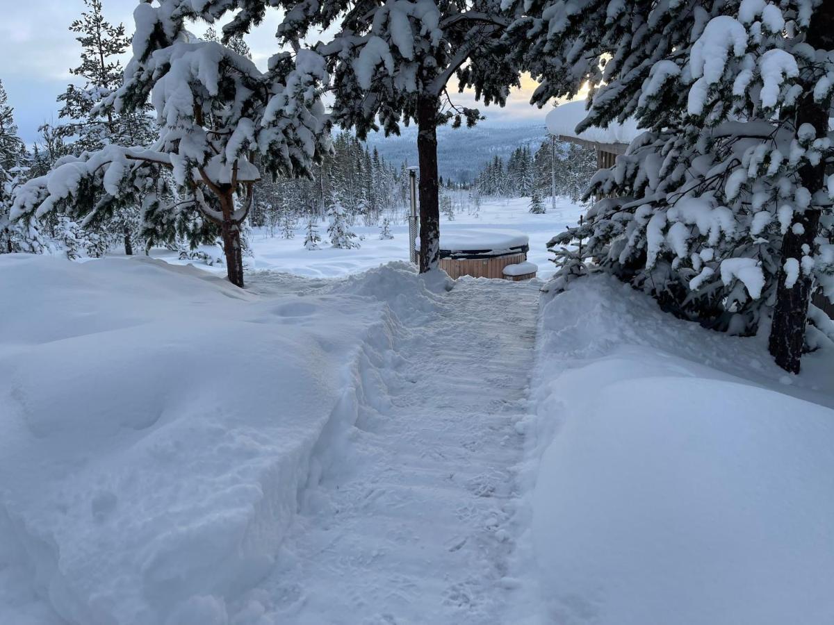 Mountain Cabin Лофсдален Екстериор снимка