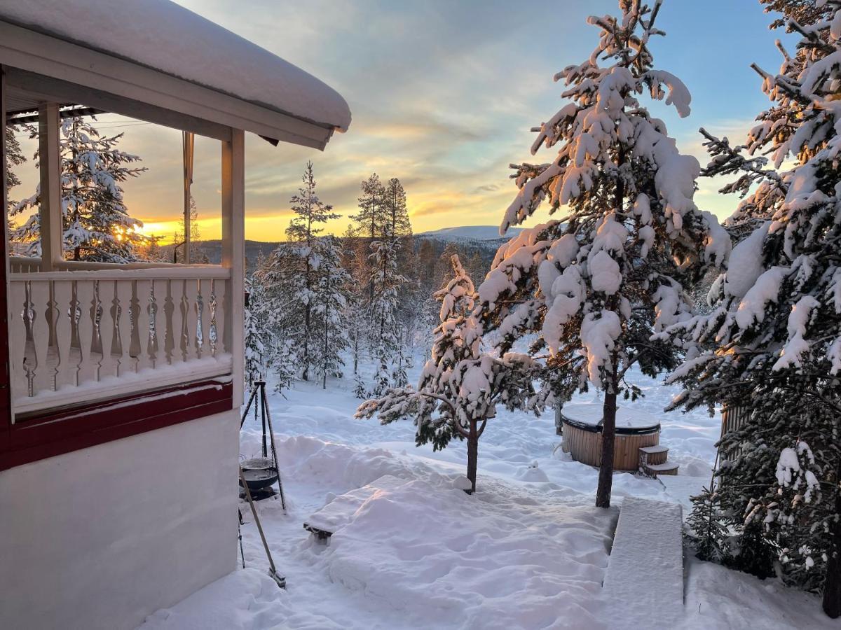 Mountain Cabin Лофсдален Екстериор снимка