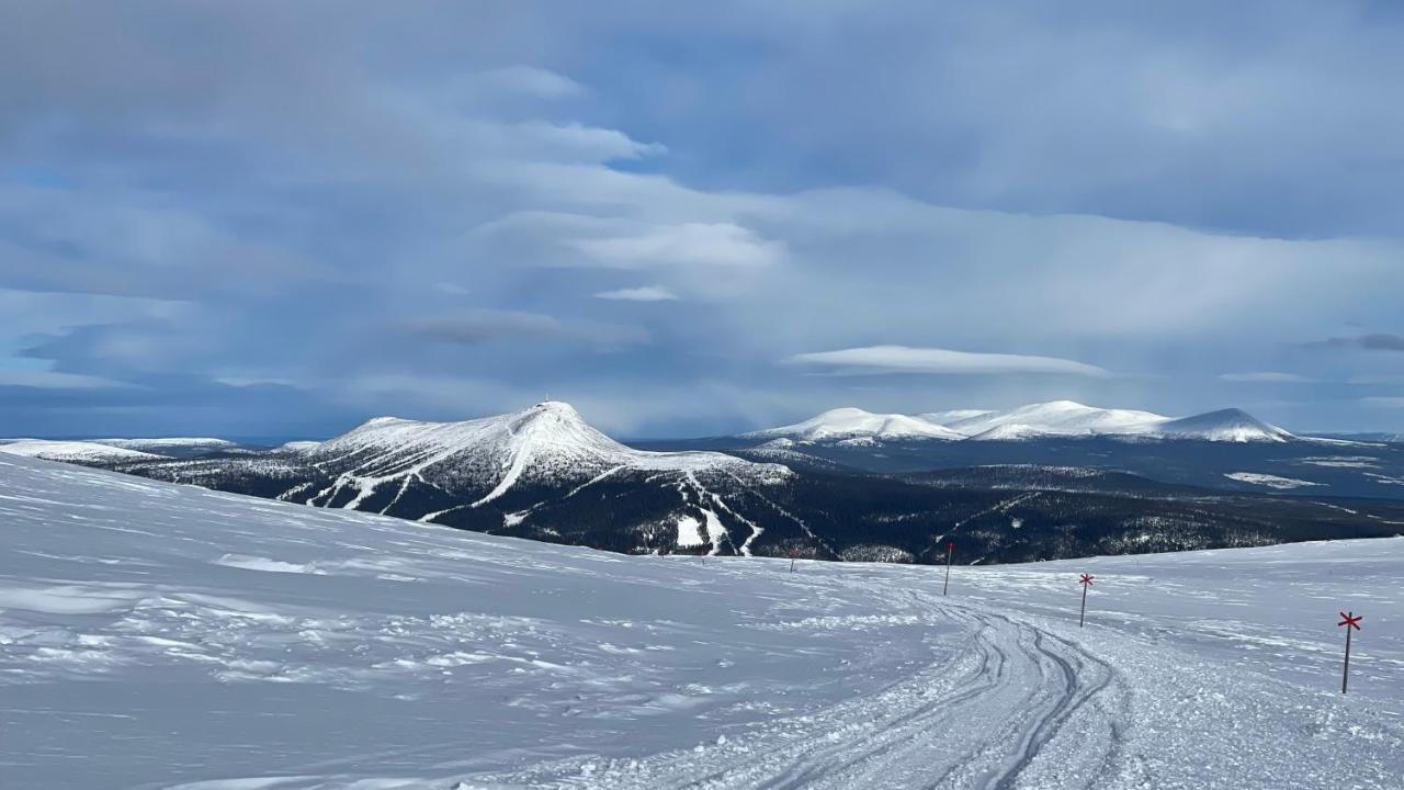 Mountain Cabin Лофсдален Екстериор снимка