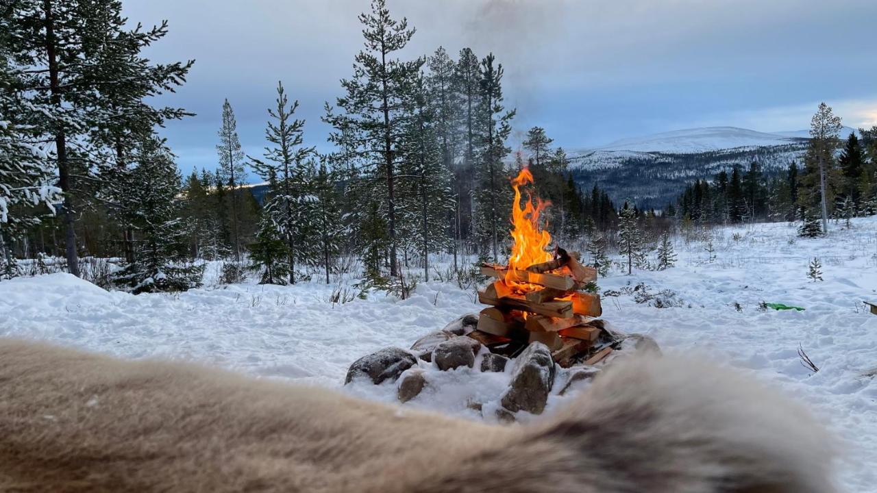 Mountain Cabin Лофсдален Екстериор снимка