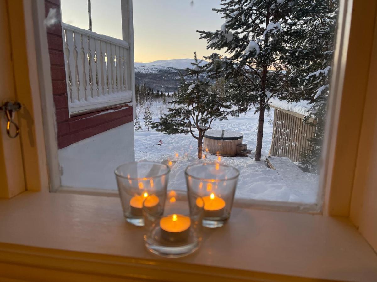 Mountain Cabin Лофсдален Екстериор снимка