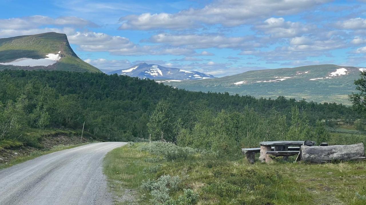 Mountain Cabin Лофсдален Екстериор снимка